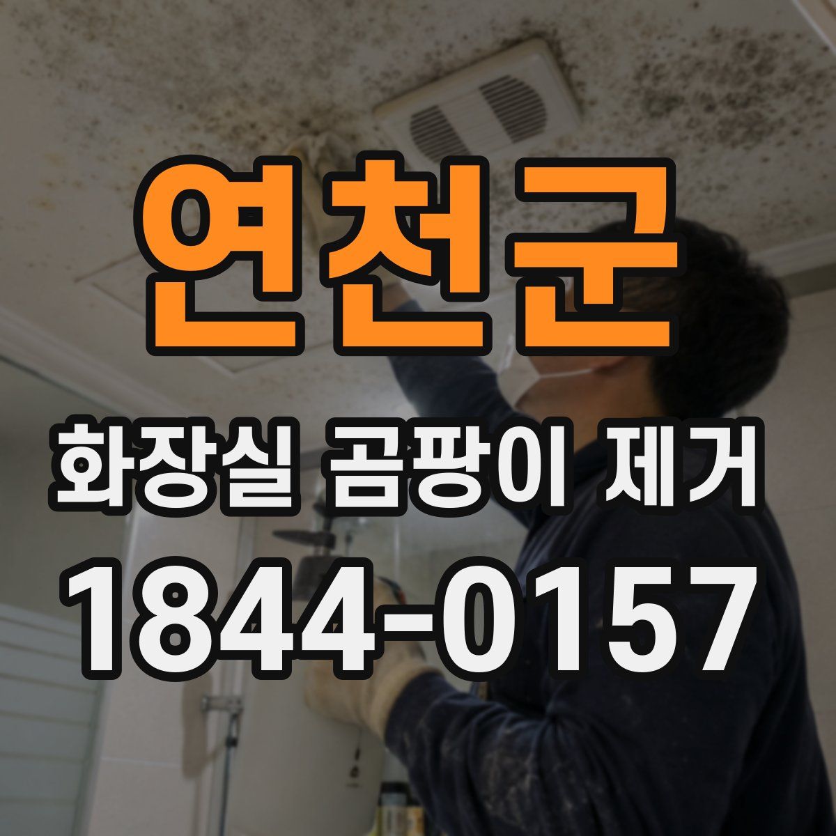 연천군 화장실 곰팡이 제거