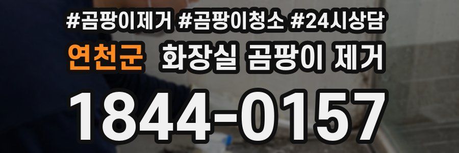 연천군 화장실 곰팡이 제거