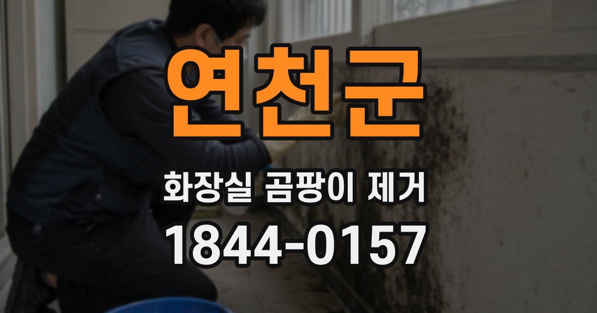 연천군 화장실 곰팡이 제거