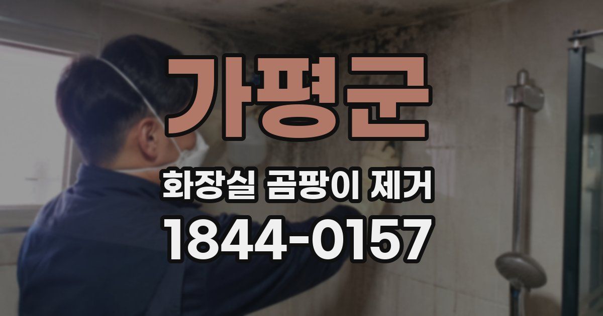 가평군 화장실 곰팡이 제거