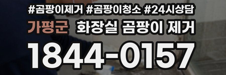 가평군 화장실 곰팡이 제거