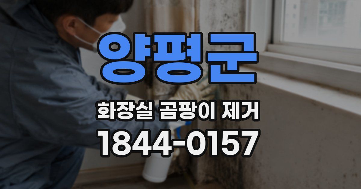 양평군 화장실 곰팡이 제거