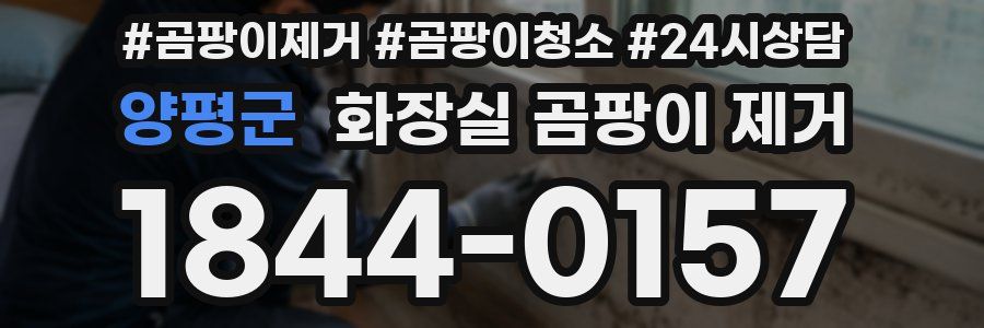 양평군 화장실 곰팡이 제거