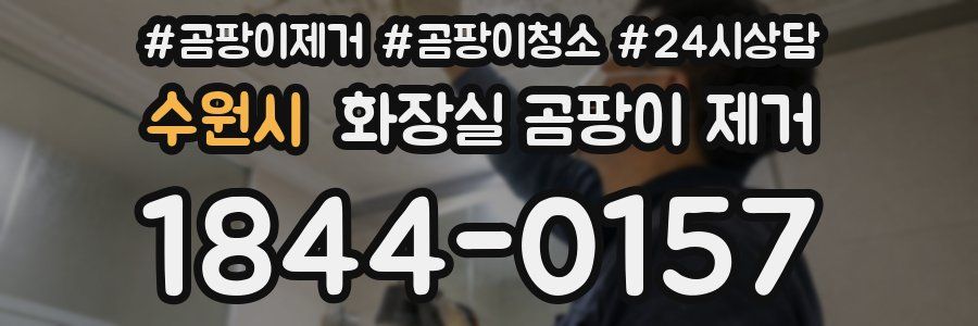 수원시 화장실 곰팡이 제거