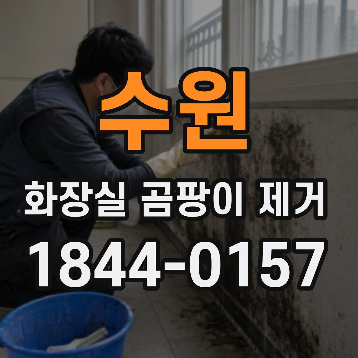 수원 화장실 곰팡이 제거