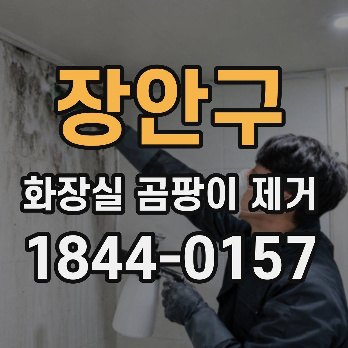 장안구 화장실 곰팡이 제거