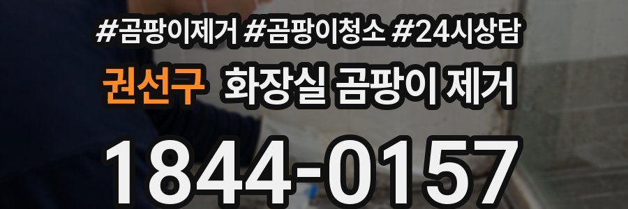 권선구 화장실 곰팡이 제거