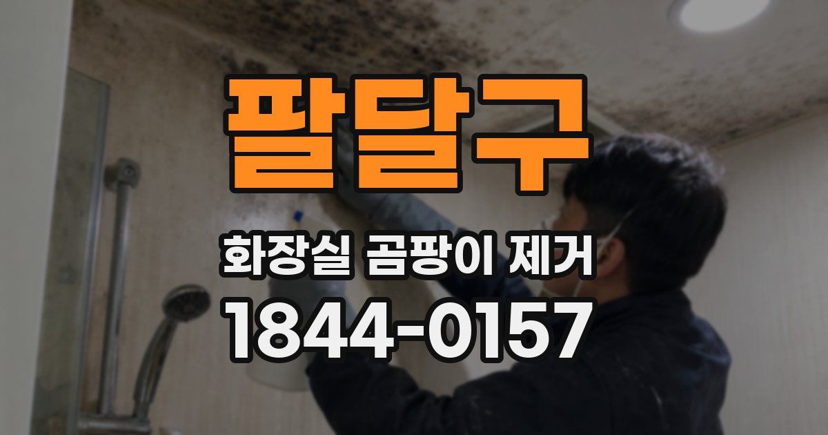 팔달구 화장실 곰팡이 제거