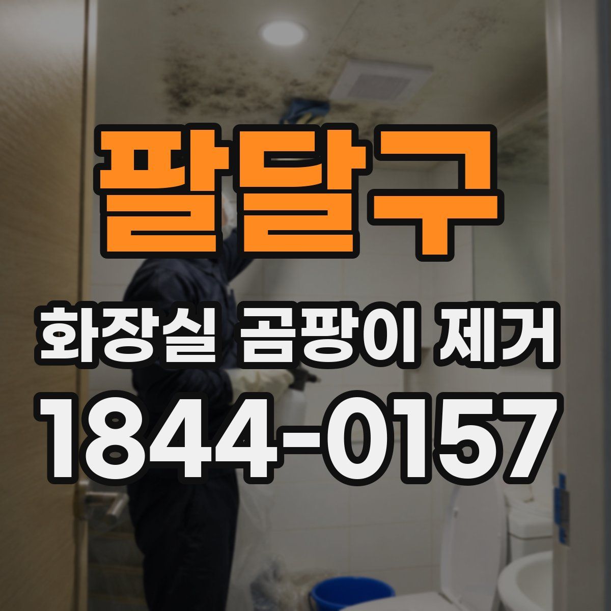 팔달구 화장실 곰팡이 제거
