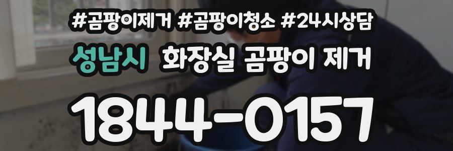 성남시 화장실 곰팡이 제거