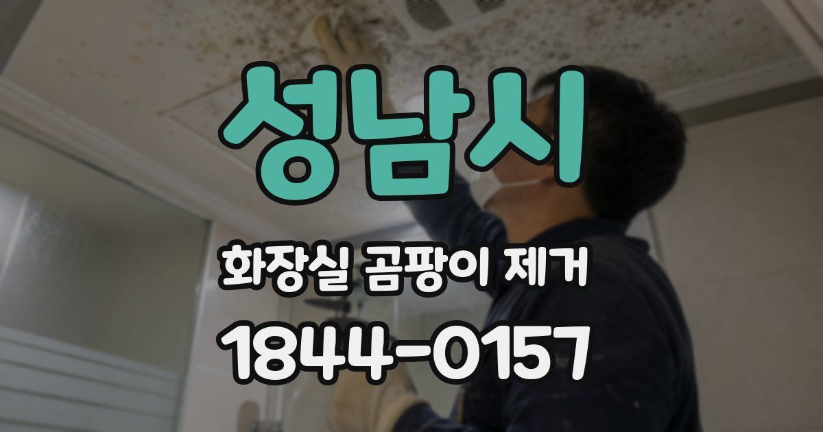 성남시 화장실 곰팡이 제거