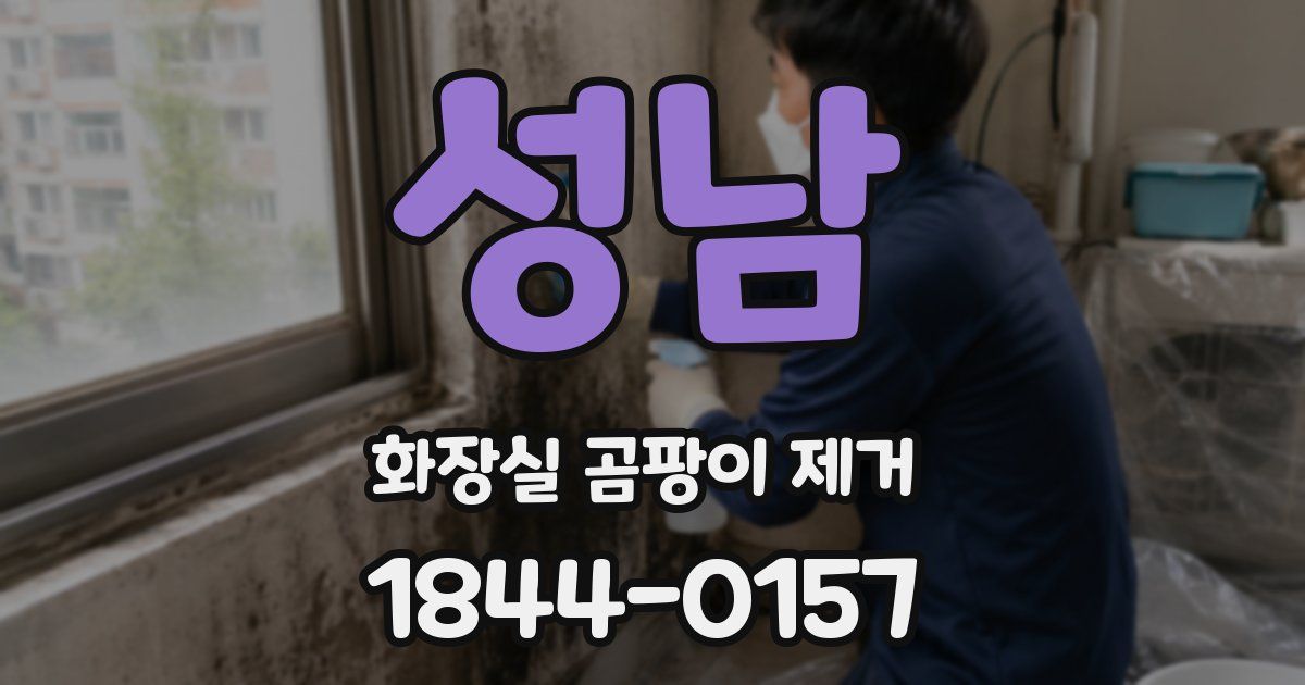 성남 화장실 곰팡이 제거