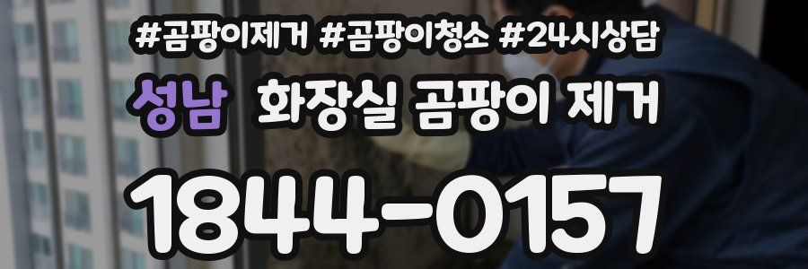 성남 화장실 곰팡이 제거