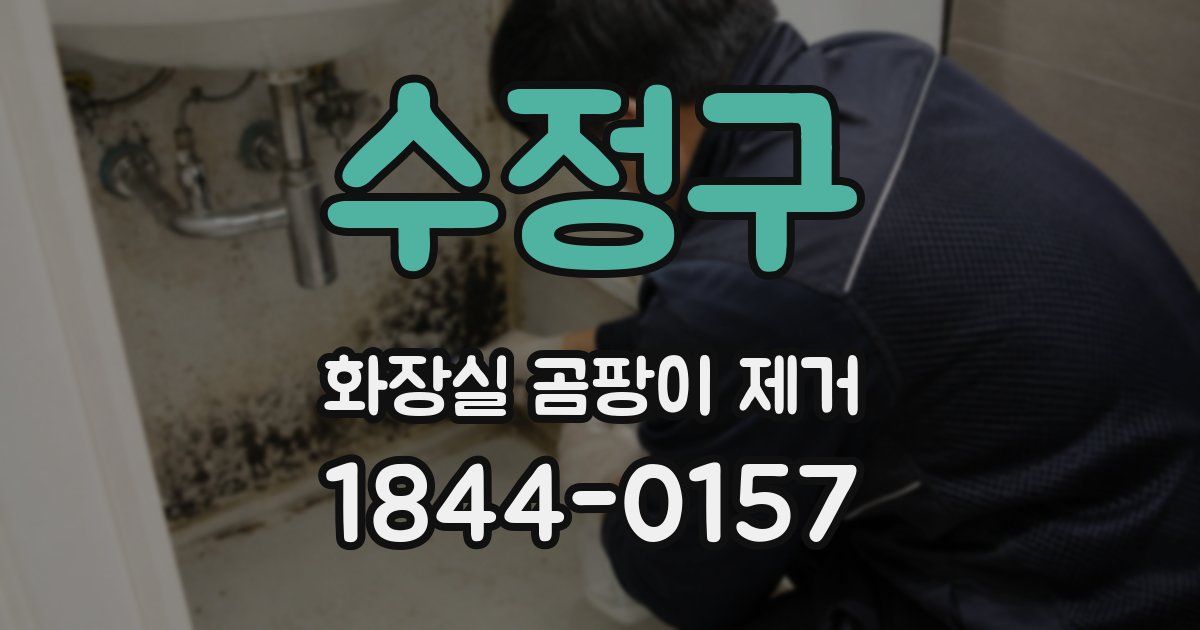 수정구 화장실 곰팡이 제거