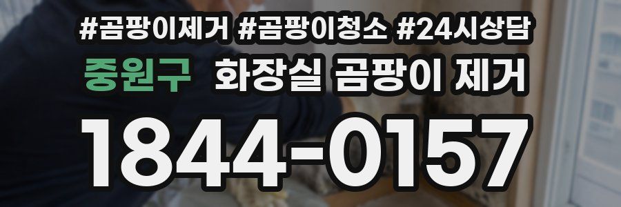 중원구 화장실 곰팡이 제거