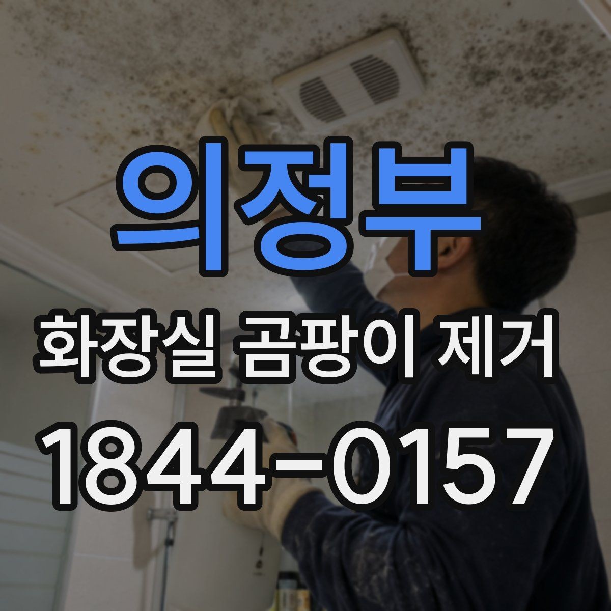 의정부 화장실 곰팡이 제거 타일 틈 깊숙한 오염 닦는 순서