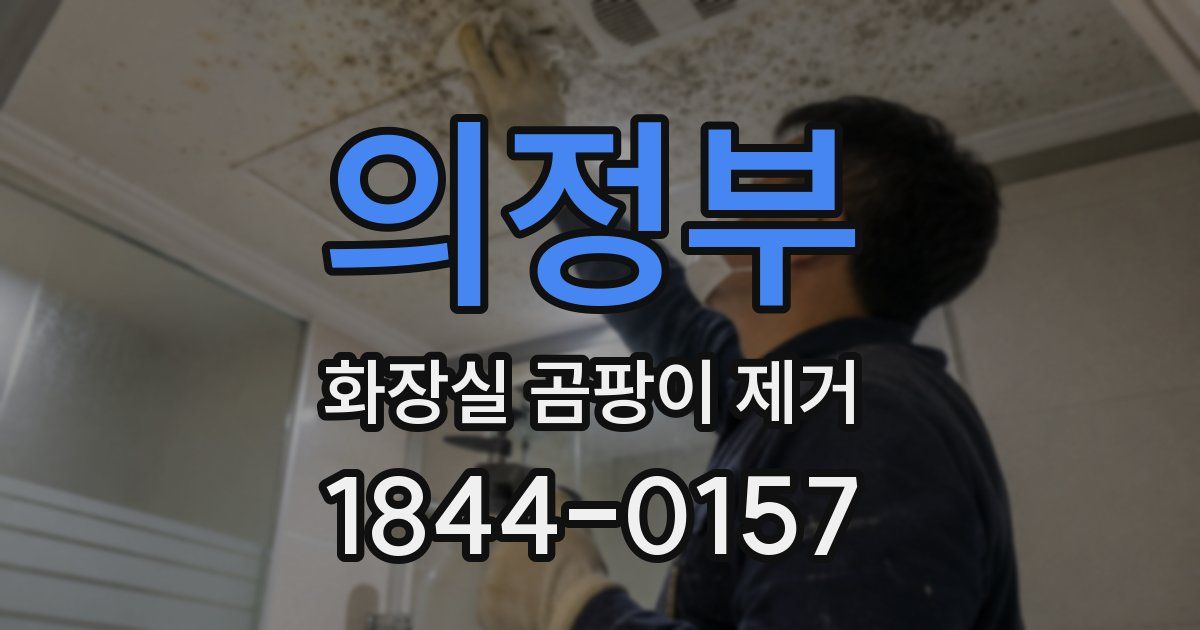 의정부 화장실 곰팡이 제거