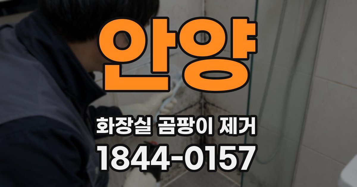 안양 화장실 곰팡이 제거