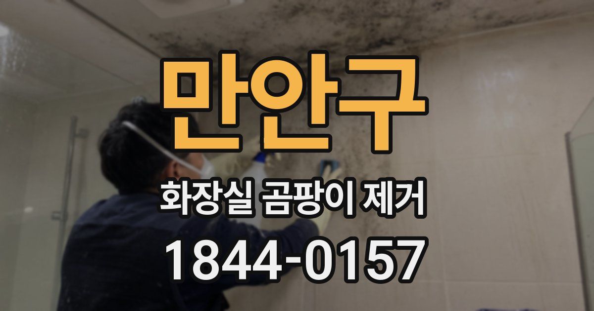 만안구 화장실 곰팡이 제거