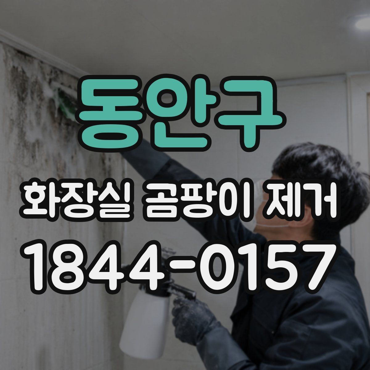 동안구 화장실 곰팡이 제거 베란다와 다른 욕실 곰팡이의 특징