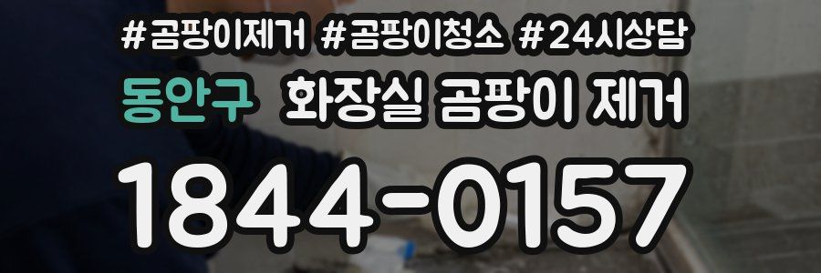 동안구 화장실 곰팡이 제거