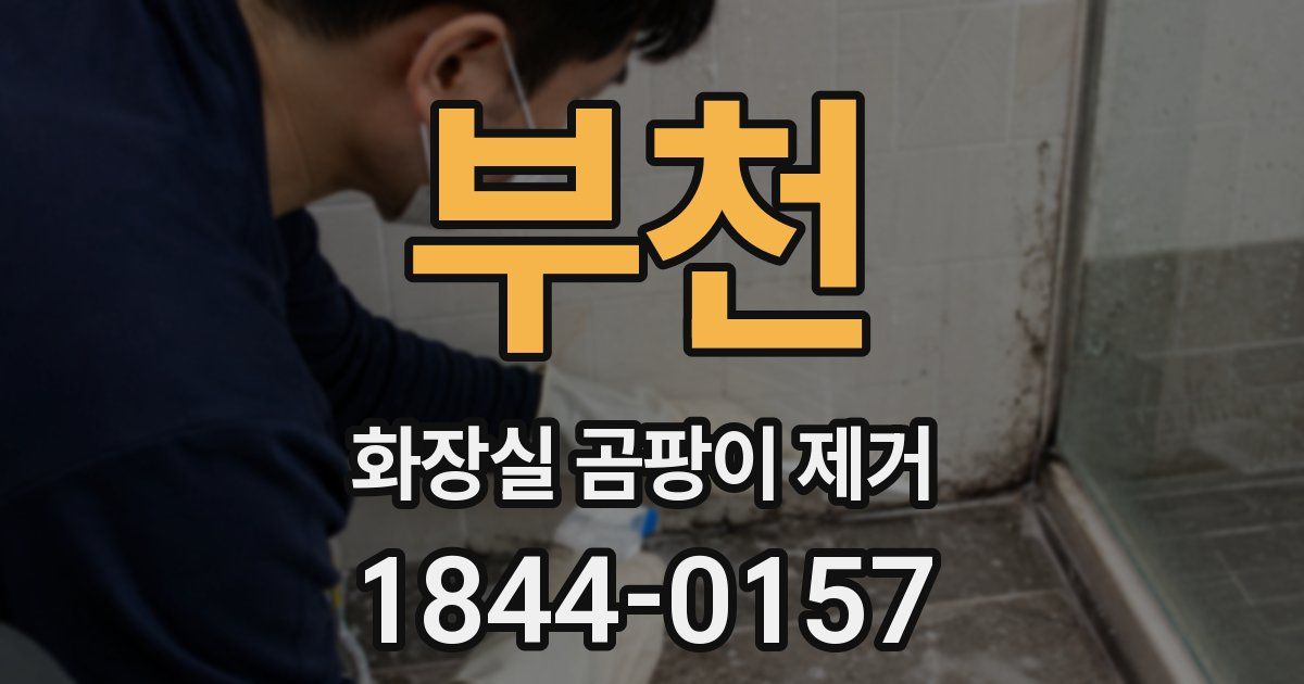 부천 화장실 곰팡이 제거