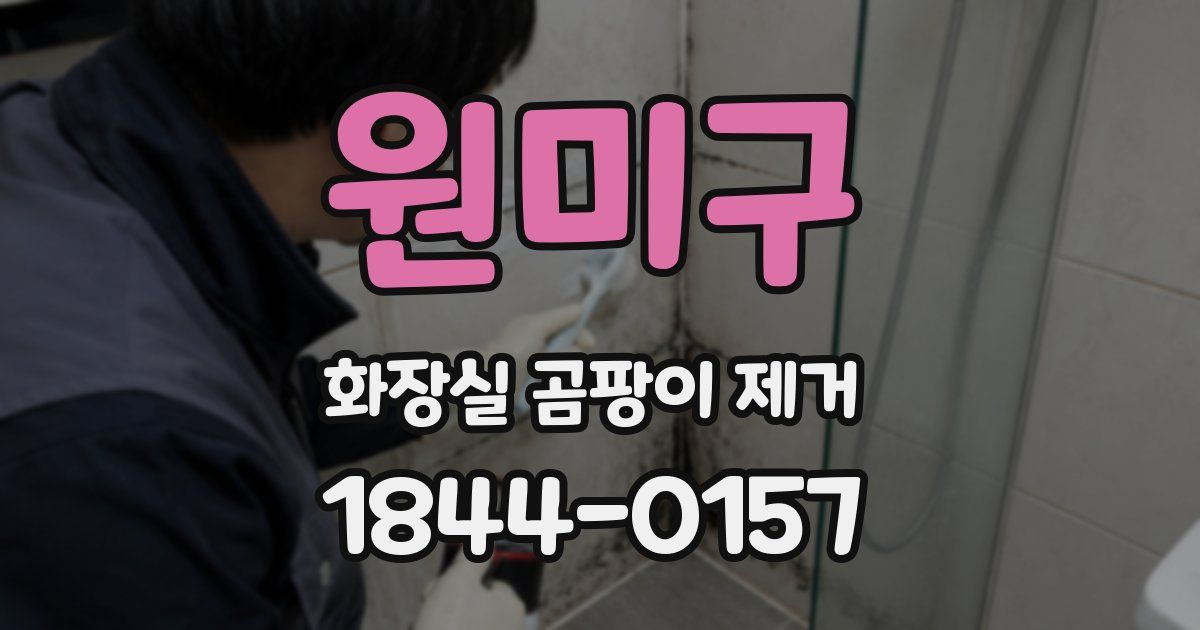 원미구 화장실 곰팡이 제거