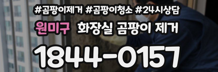 원미구 화장실 곰팡이 제거