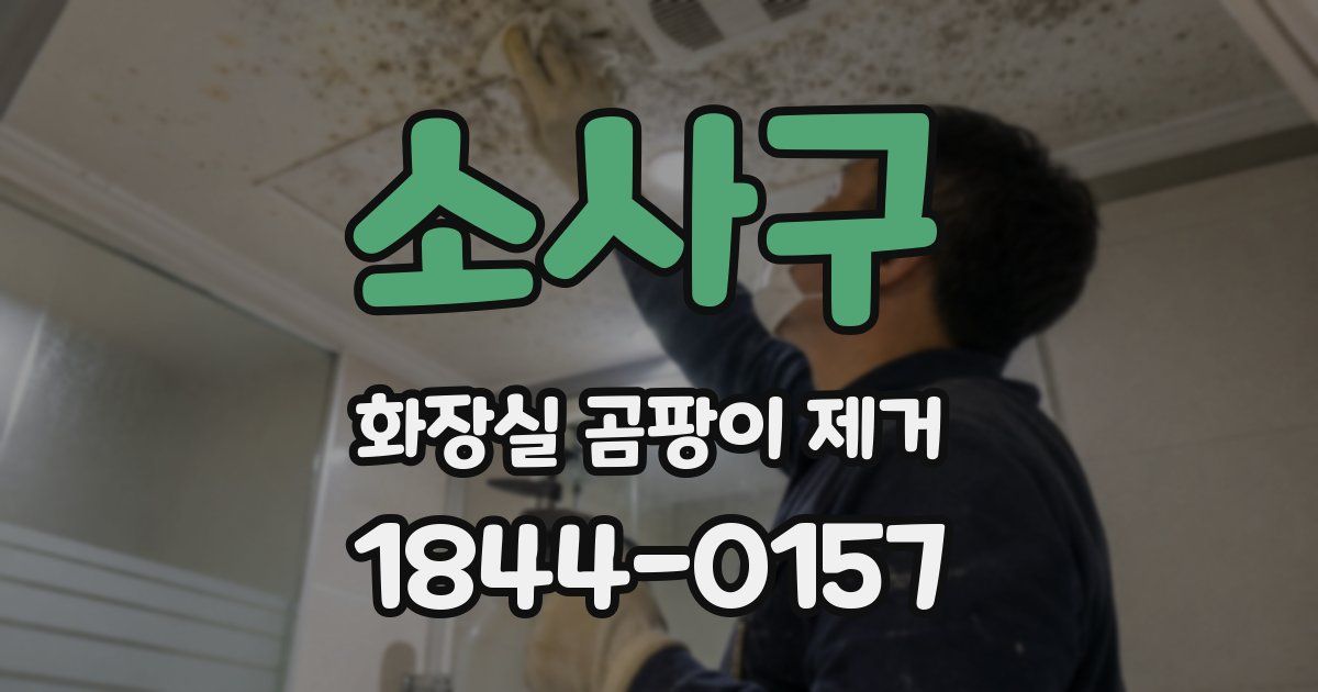 소사구 화장실 곰팡이 제거