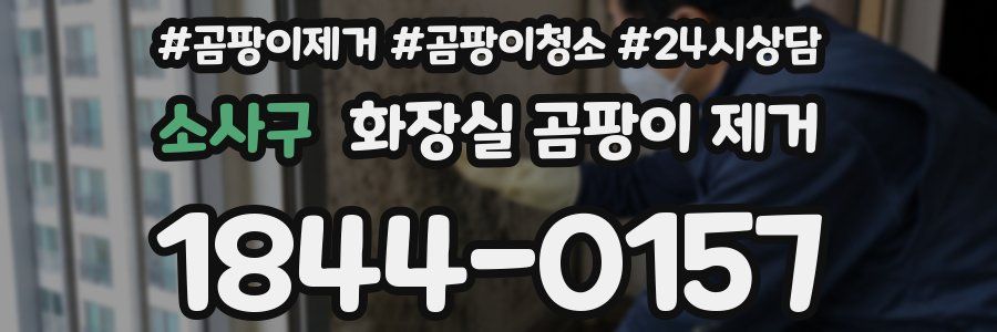 소사구 화장실 곰팡이 제거