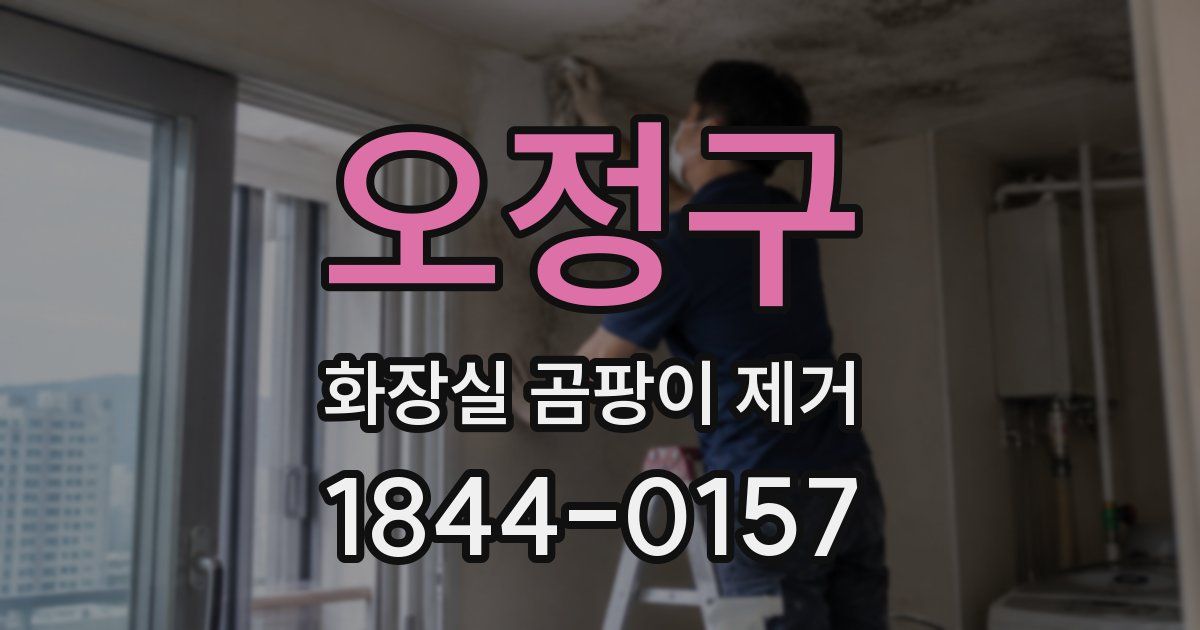 오정구 화장실 곰팡이 제거