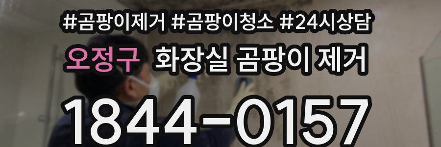 오정구 화장실 곰팡이 제거