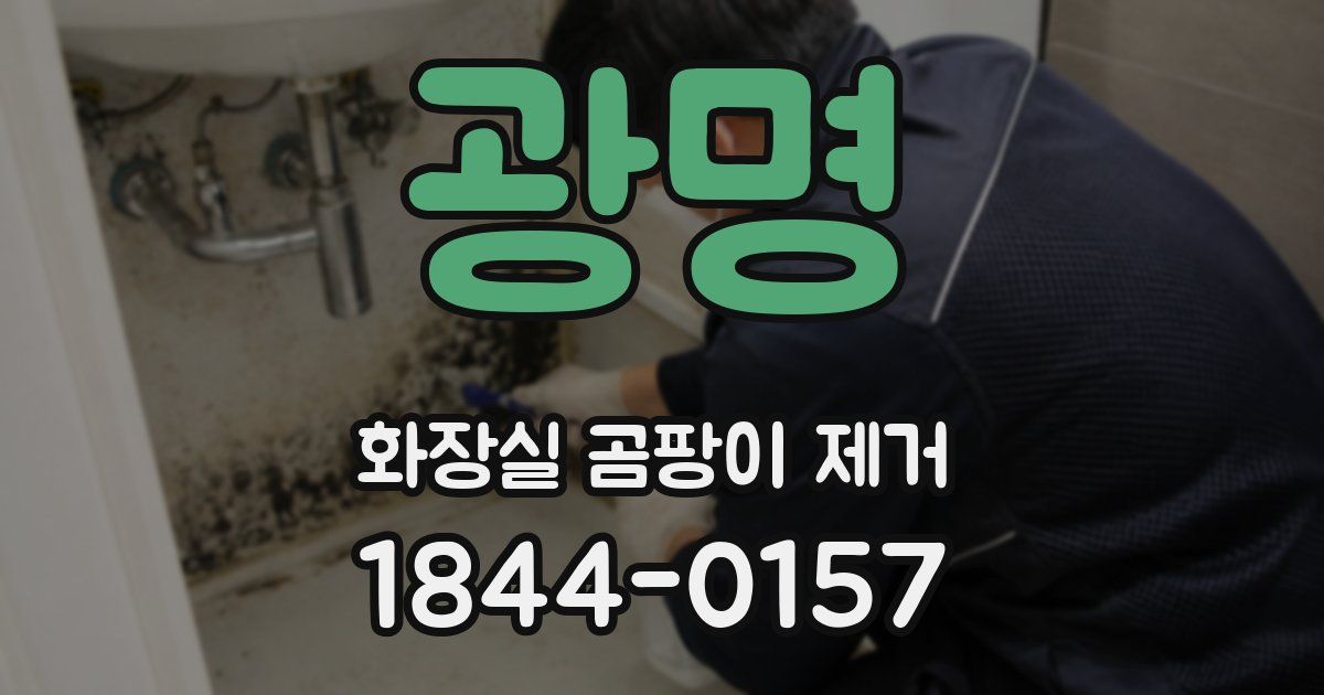 광명 화장실 곰팡이 제거