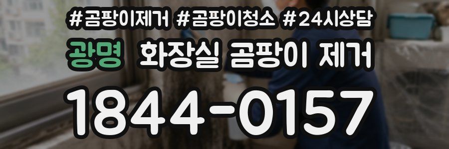 광명 화장실 곰팡이 제거