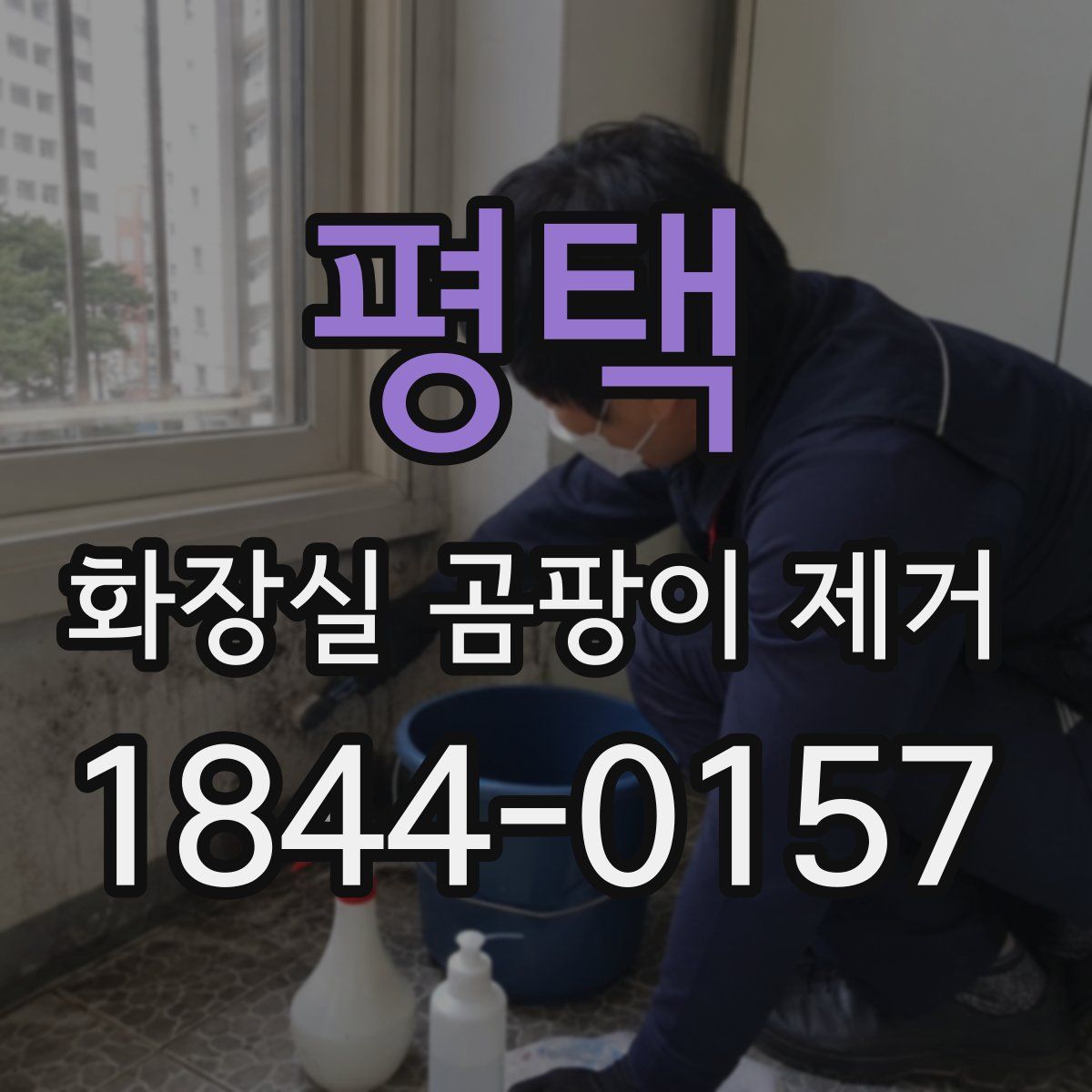 평택 화장실 곰팡이 제거