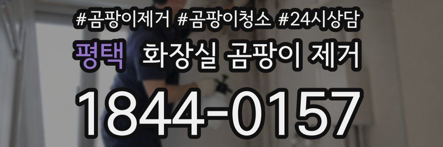 평택 화장실 곰팡이 제거
