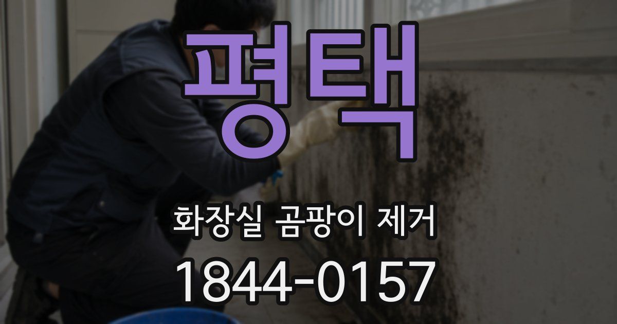 평택 화장실 곰팡이 제거
