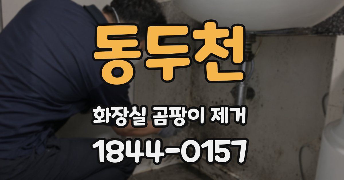 동두천 화장실 곰팡이 제거