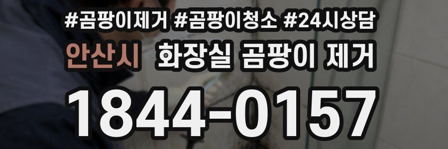 안산시 화장실 곰팡이 제거