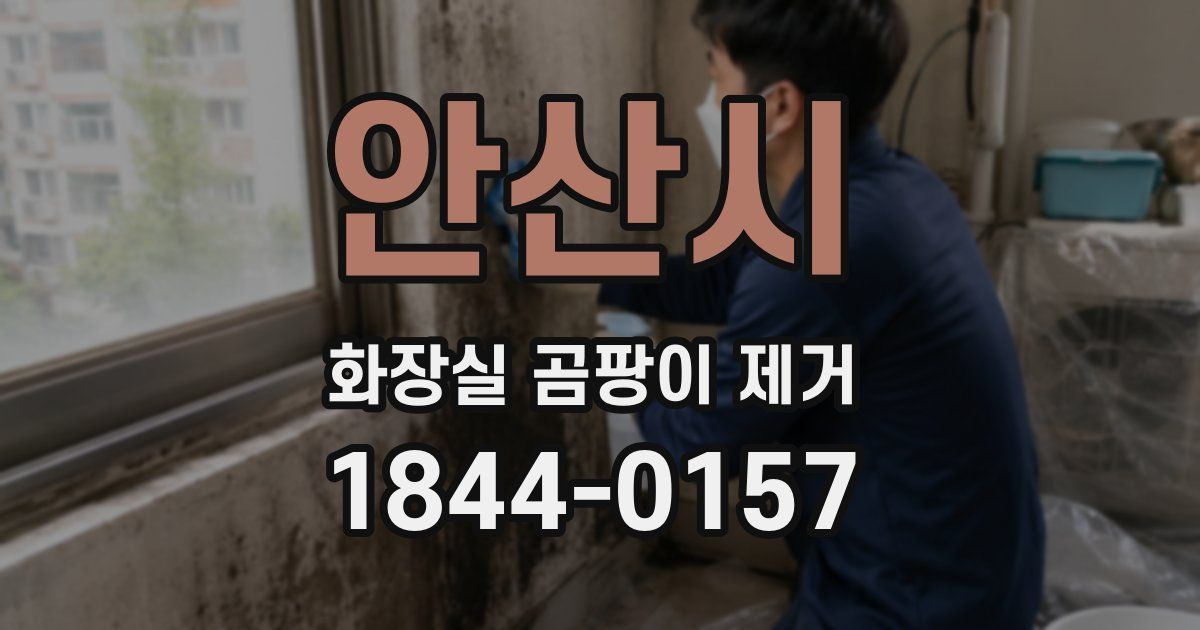 안산시 화장실 곰팡이 제거