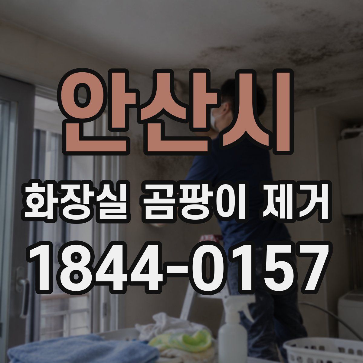 안산시 화장실 곰팡이 제거