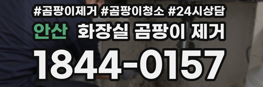 안산 화장실 곰팡이 제거