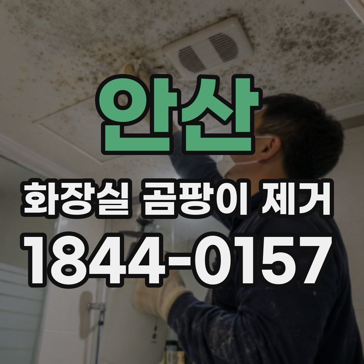 안산 화장실 곰팡이 제거