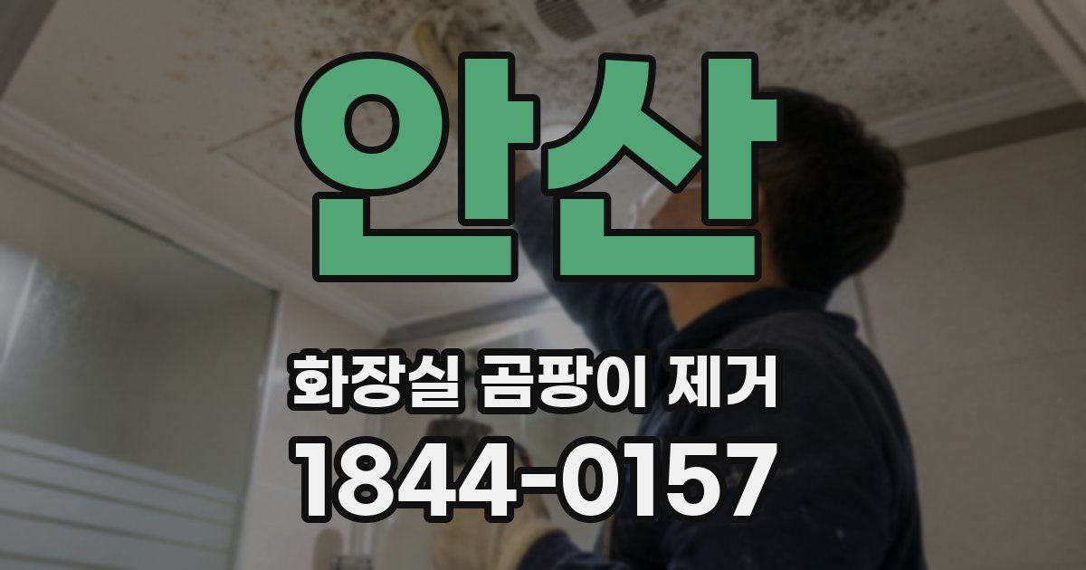 안산 화장실 곰팡이 제거