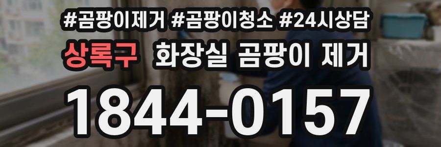 상록구 화장실 곰팡이 제거