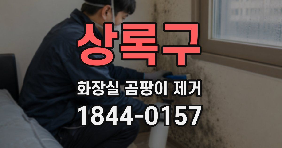 상록구 화장실 곰팡이 제거