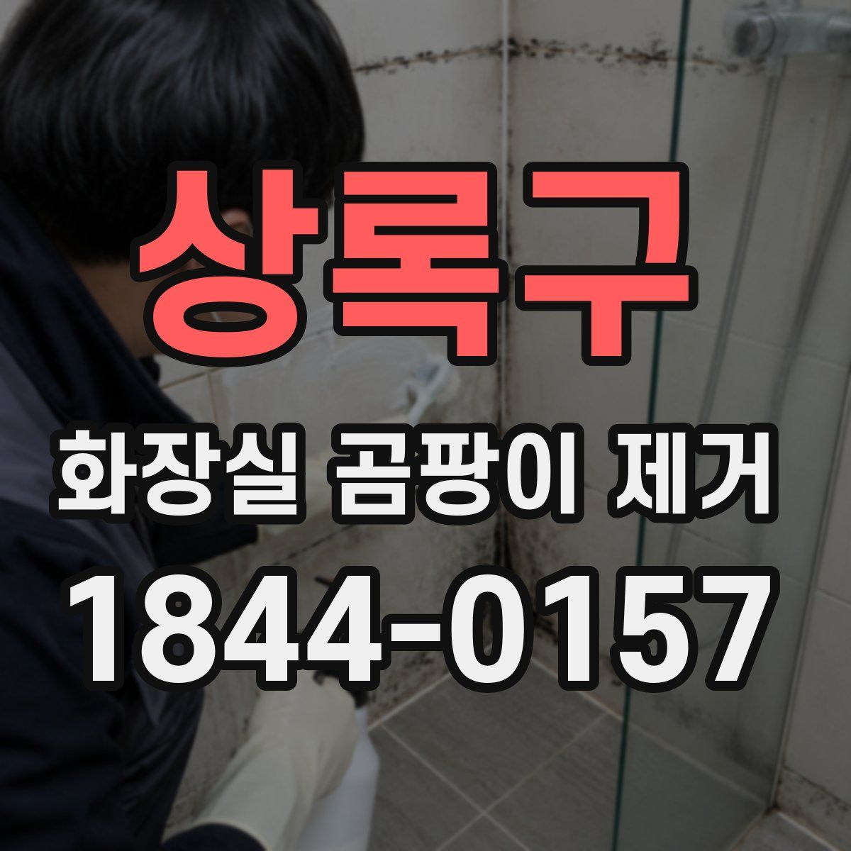 상록구 화장실 곰팡이 제거