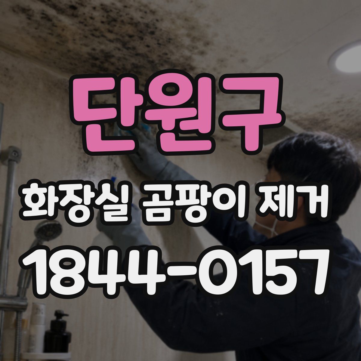 단원구 화장실 곰팡이 제거