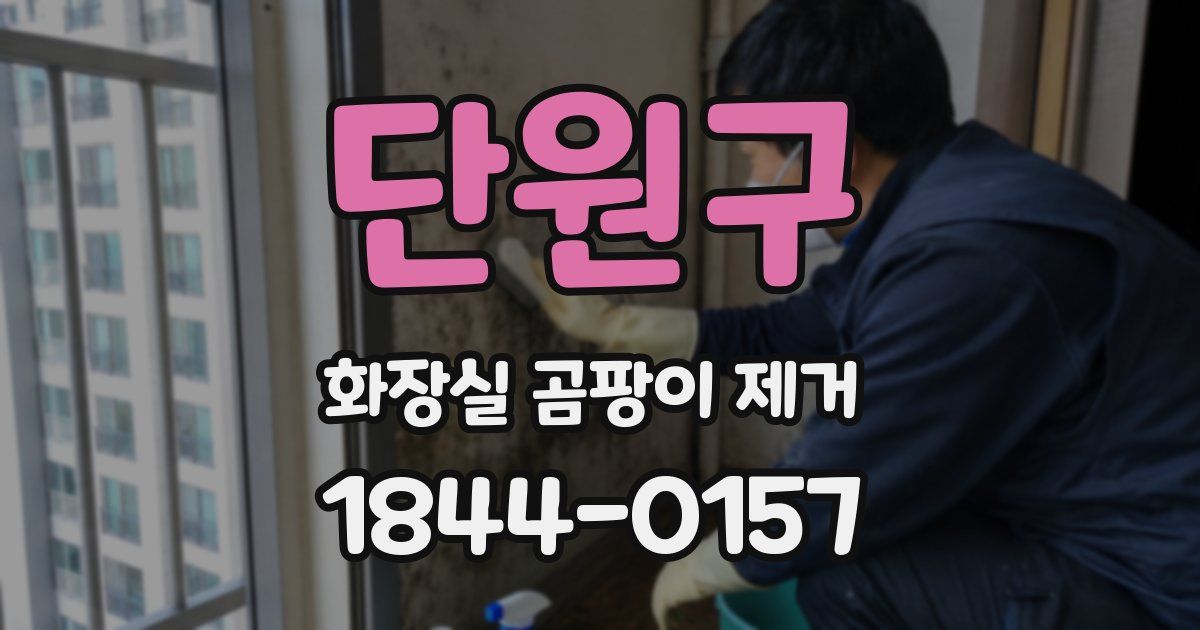 단원구 화장실 곰팡이 제거