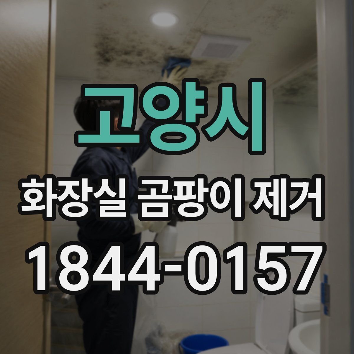 고양시 화장실 곰팡이 제거
